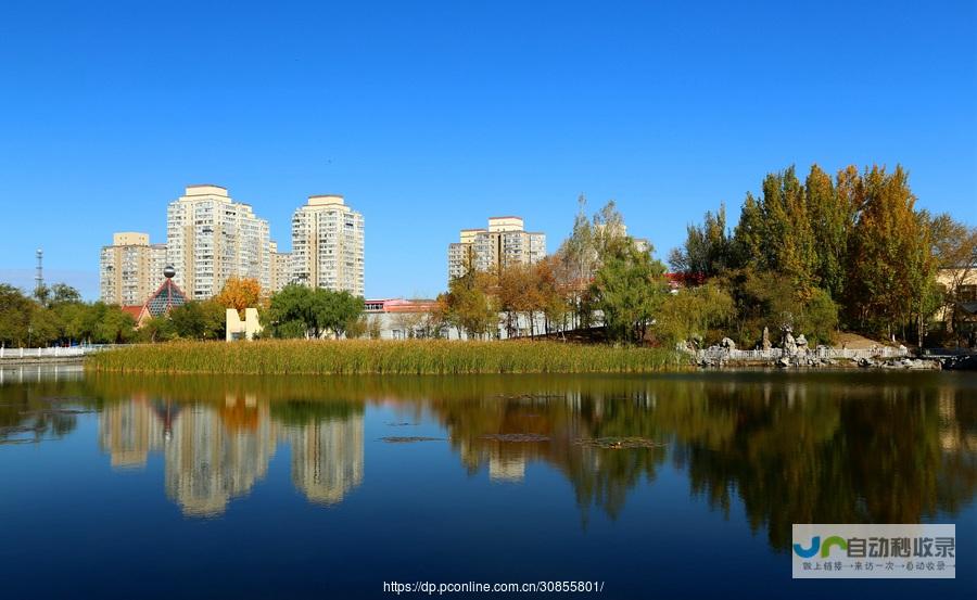 大庆地域特色网站建设：打造您的专属线上名片，引领大庆品牌发展