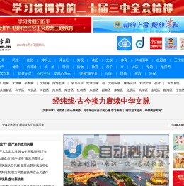 网站截图