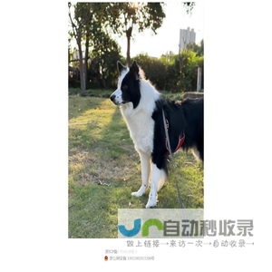波波驿站